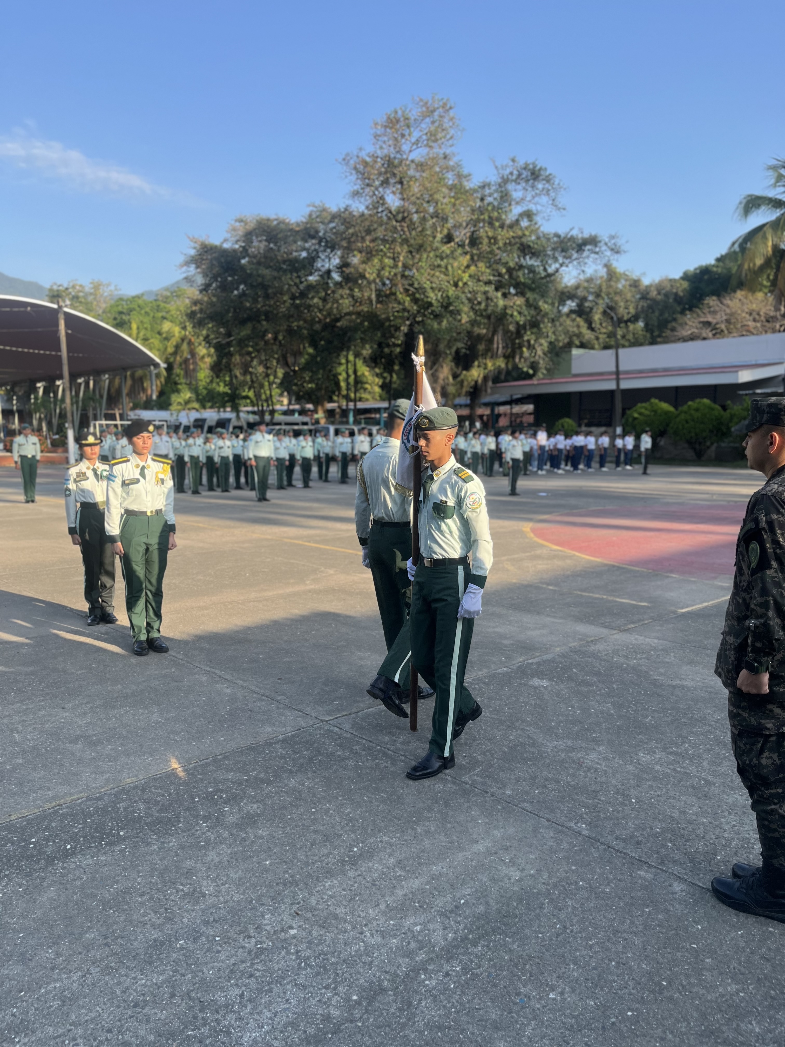 Formación Académica