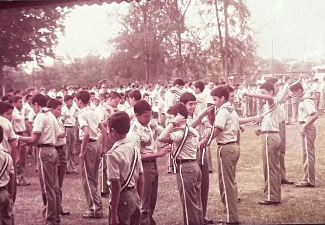 Consolidación 1985