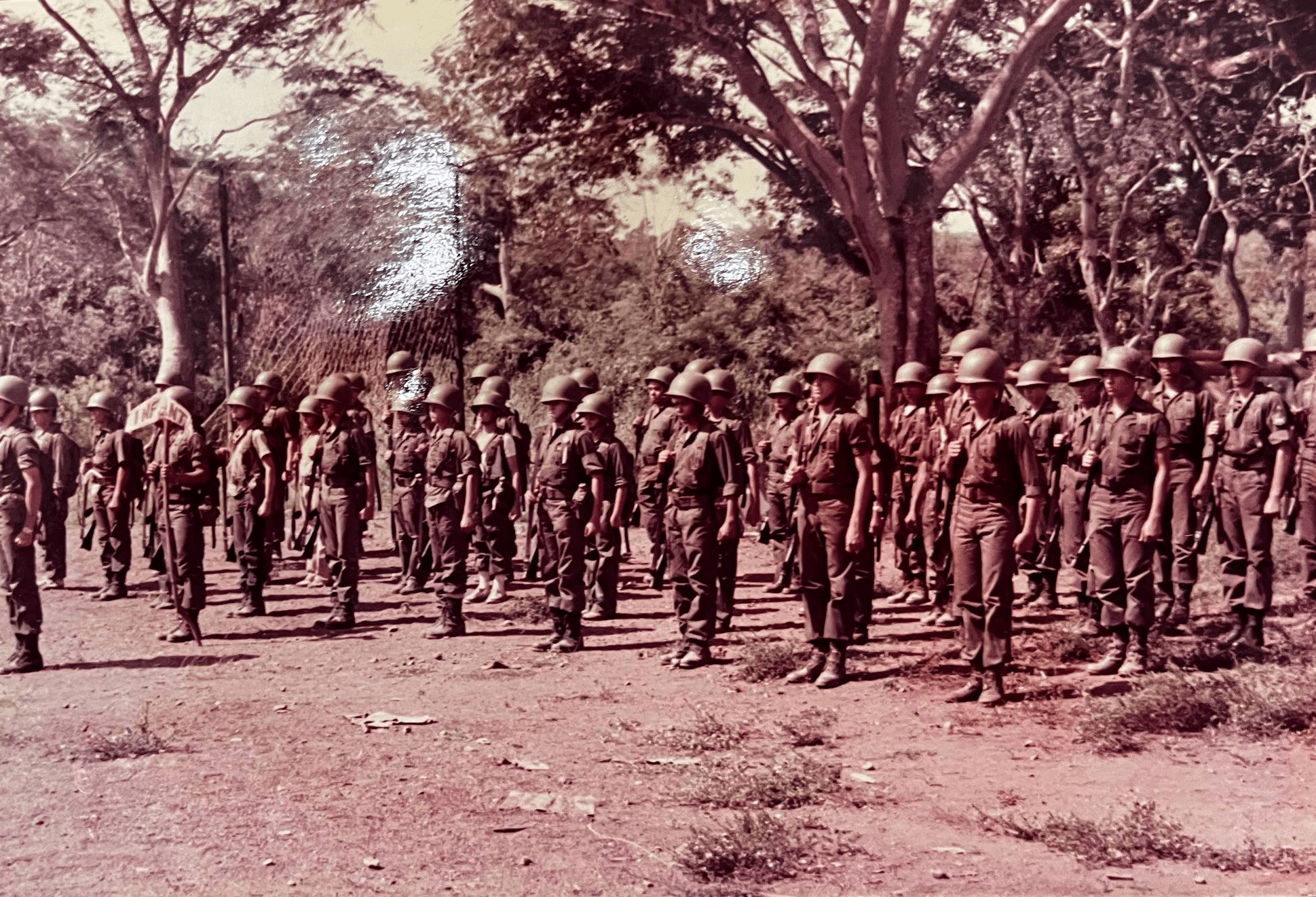 Consolidación 1985